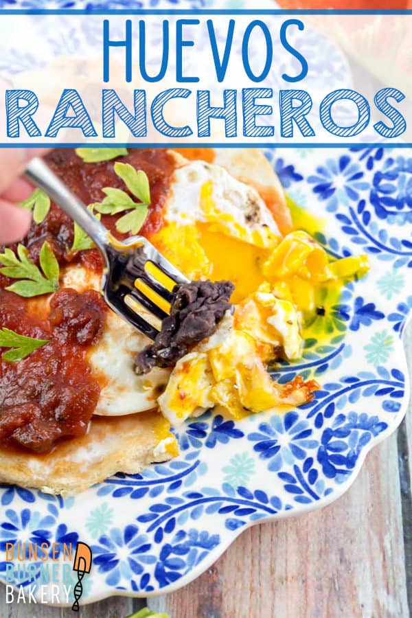 Huevos Rancheros: Runny eggs and spicy salsa served on a crispy corn tortilla -- huevos rancheros are the best (and easiest!) way to start your mornings. An easy, crowd pleasing, Mexican recipe. 