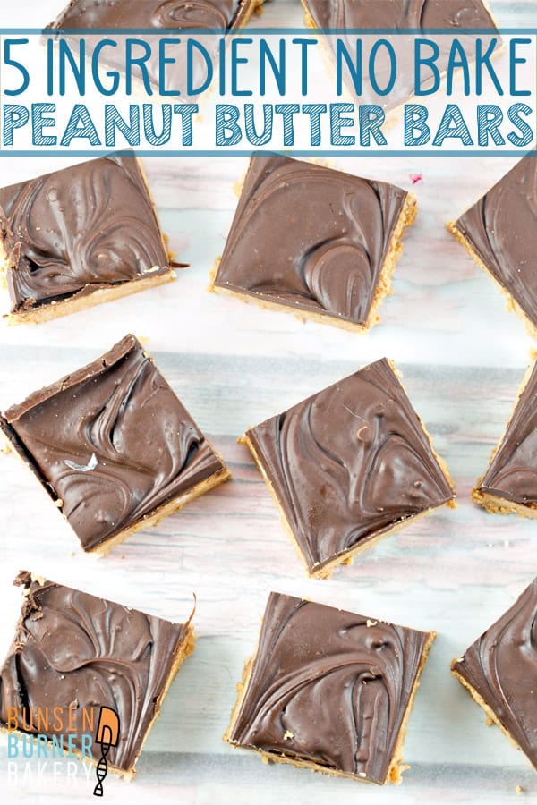 No Bake Peanut Butter Bars: Five ingredients and ten minutes are all you need for this crowd-pleasing favorite! #bunsenburnerbakery #peanutbutterbars #nobake #peanutbutter #chocolate