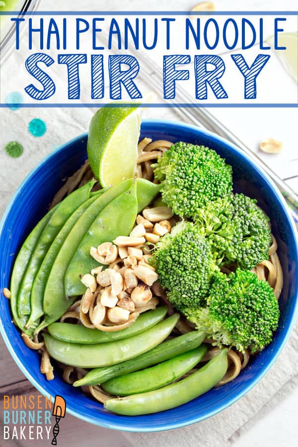 Thai Peanut Noodle Stir Fry: fresh steamed vegetables and noodles covered in Thai-inspired peanut and lime sauce.  The perfect quick, easy, and healthy vegetarian and vegan weeknight dinner.  Gluten free alternatives, too! 