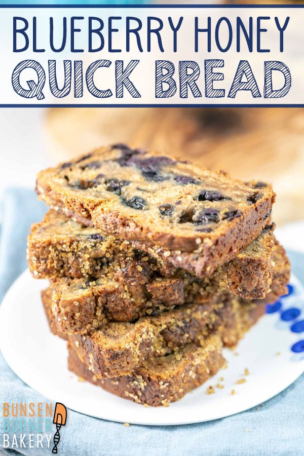 Bursting with blueberries, this naturally-sweetened Blueberry Honey Quick Bread is the perfect breakfast, dessert, or mid-day snack!