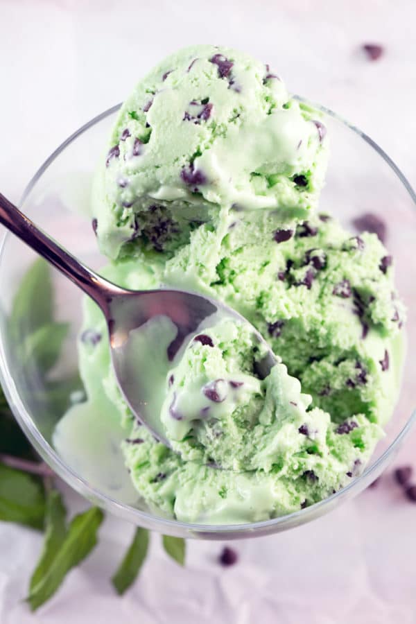 close up image of a spoon dipped in mint chocolate chip ice cream