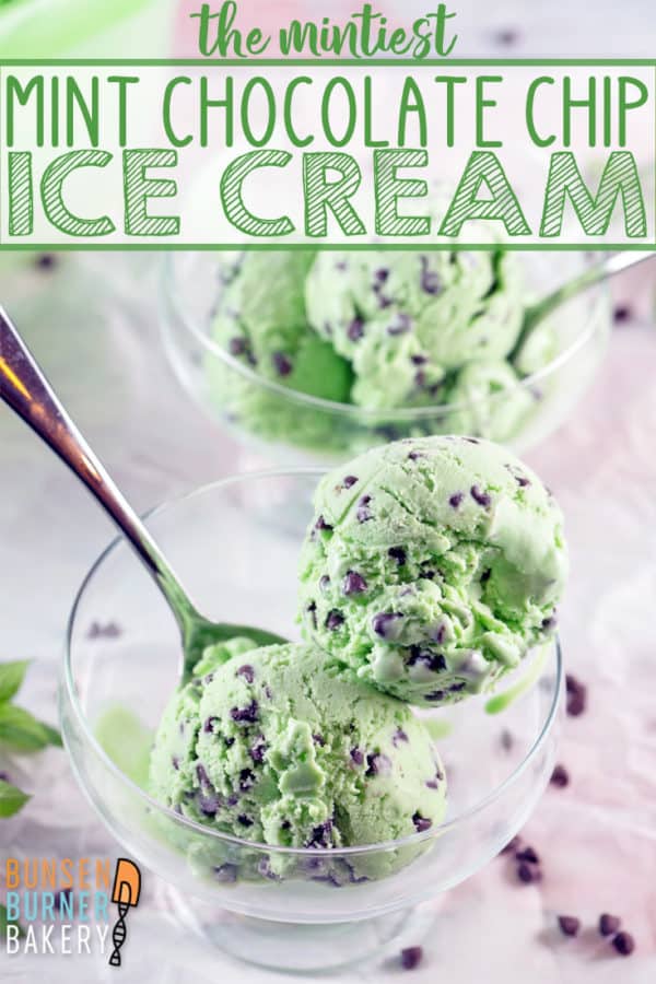 Mint Chocolate Chip Ice Cream: The secret to the BEST homemade mint chocolate chip ice cream is using fresh mint! Step by step directions for how to make the smoothest, creamiest ice cream base recipe. #bunsenburnerbakery #icecream #homemadeicecream #mintchocolatechip