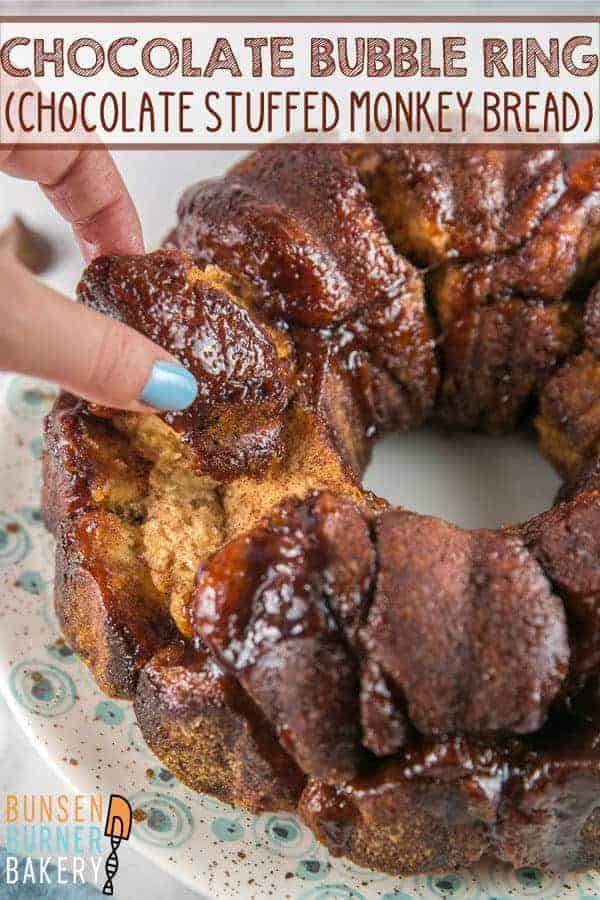 Chocolate Bubble Ring: Hershey kiss stuffed biscuits rolled in cinnamon sugar -- like a chocolate-stuffed monkey bread! 