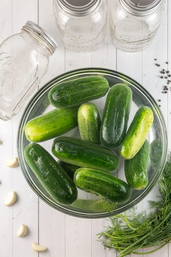 kirby cucumbers soaking in a large bowl of ice water