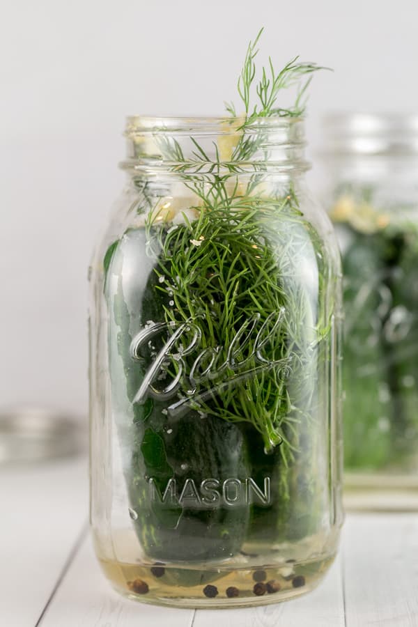 mason jar with whole kirby cucumbers and sprigs of dill