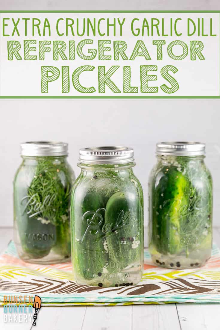 Garlic Dill Refrigerator Pickles: An easy recipe for homemade refrigerator pickles with all the secrets to keep your pickles EXTRA crunchy! 