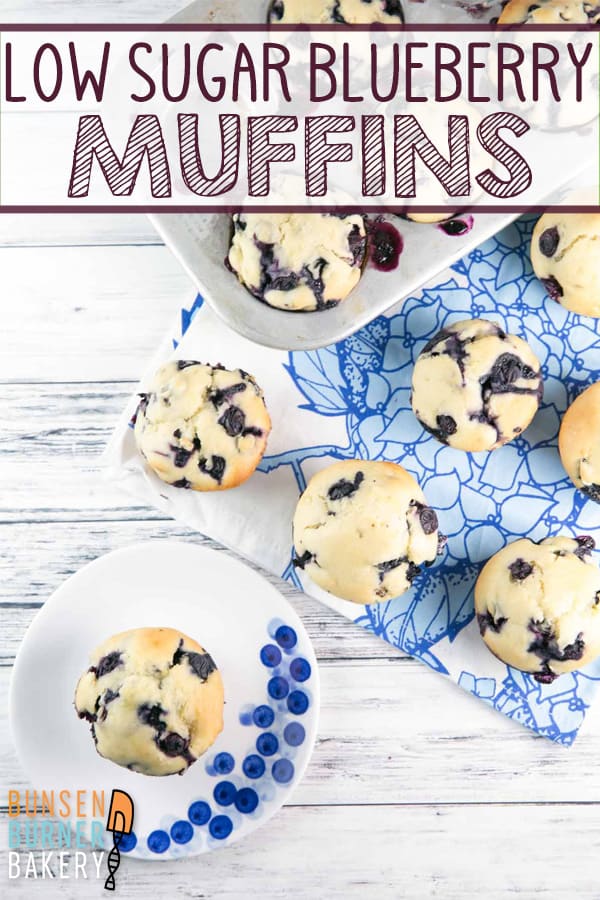 Low Sugar Skinny Blueberry Muffins: trade jumbo sugary muffins for these healthier homemade low sugar muffins.  This easy recipe is still moist and delicious, without all the extra sugar! #bunsenburnerbakery #muffins #blueberrymuffins #breakfast