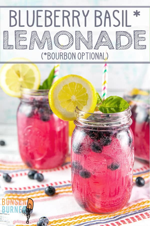 Blueberry Basil Lemonade: Celebrate the best parts of summer with sparkly freshly squeezed blueberry basil lemonade (cocktail or mocktail) - made from easy homemade lemonade and fresh summer produce.  It's the perfect made ahead party drink for summer! 