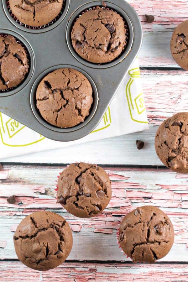 Chocolate Chocolate Chip Muffins: rich and decadent, this is a muffin that's really a dessert in disguise. Chocolate for breakfast? Yes, please! #bunsenburnerbakery #muffins #chocolatemuffins #breakfast #dessert