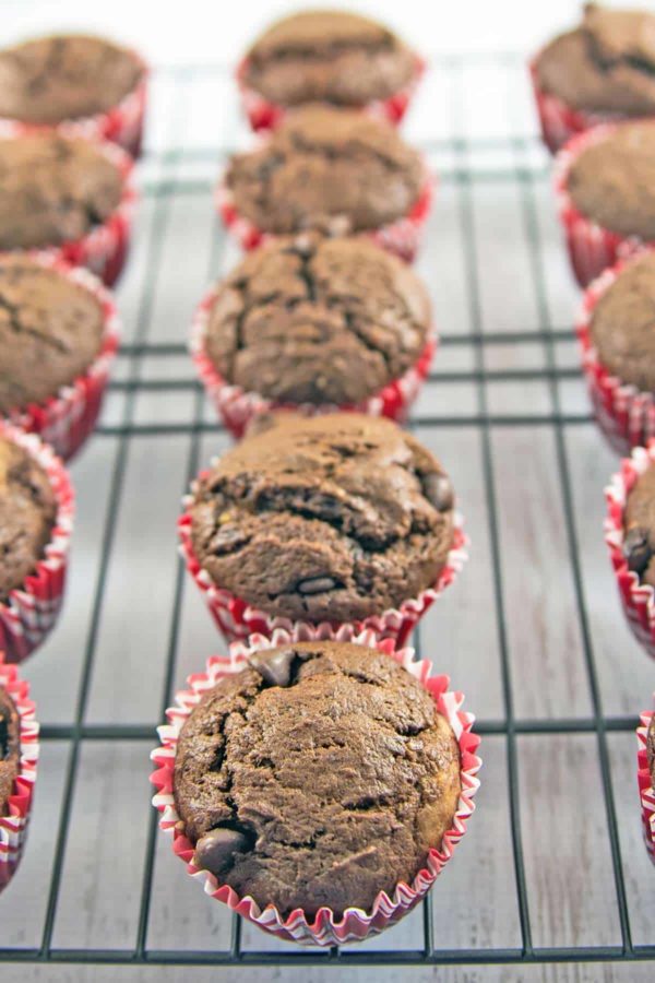 Chocolate Chocolate Chip Muffins: rich and decadent, this is a muffin that's really a dessert in disguise. Chocolate for breakfast? Yes, please! #bunsenburnerbakery #muffins #chocolatemuffins #breakfast #dessert