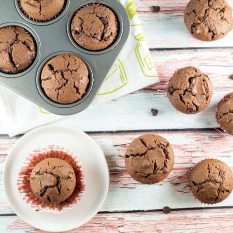 Chocolate Chocolate Chip Muffins: rich and decadent, this is a muffin that's really a dessert in disguise. Chocolate for breakfast? Yes, please! #bunsenburnerbakery #muffins #chocolatemuffins #breakfast #dessert