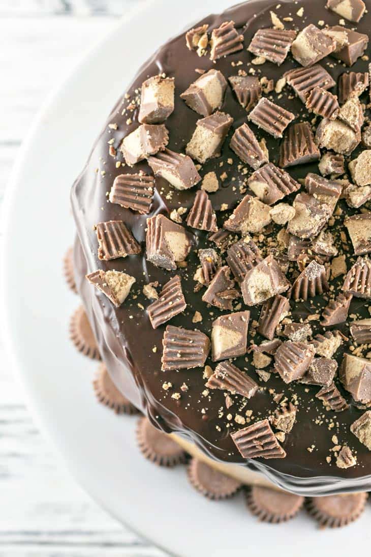 Chocolate Peanut Butter Cup Cake: Chocolate cake, peanut butter frosting, chocolate ganache, peanut butter cups. This Peanut Butter Cup Cake is a chocolate and peanut butter lover's dream. {Bunsen Burner Bakery}