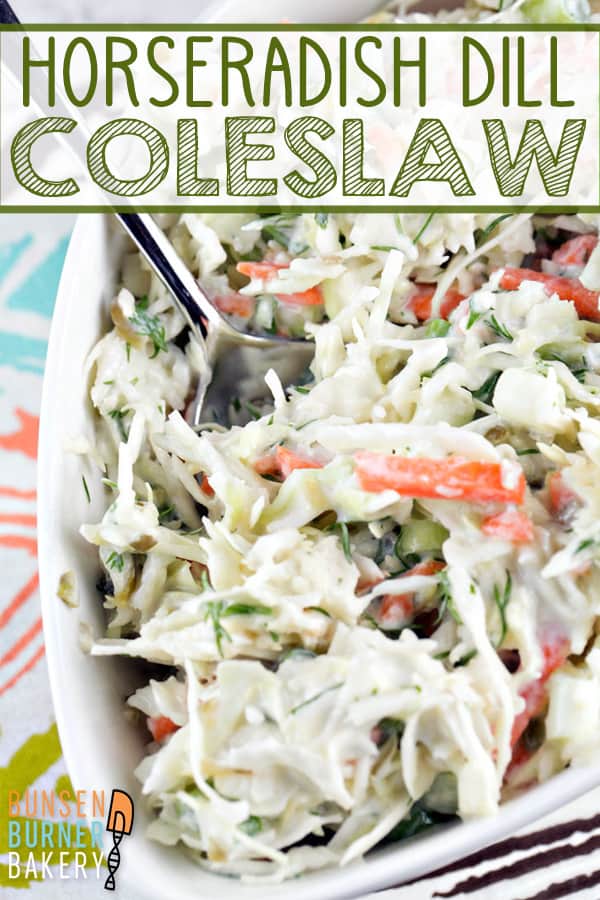 Horseradish Dill Coleslaw: An easy recipe for homemade coleslaw, with a creamy dressing made from mayo, yogurt, and horseradish. #bunsenburnerbakery #cooleslaw #glutenfree #vegetarian