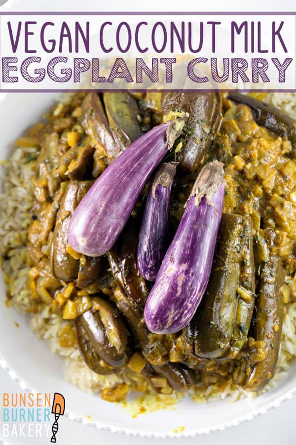 Eggplant Curry with Coconut Milk: vegan and gluten free, this 30-minute meal is the answer to getting out of your weeknight cooking rut. #bunsenburnerbakery #curry #eggplant #glutenfree #vegan