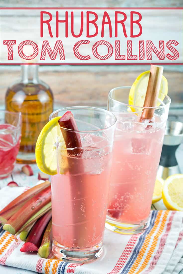 Rhubarb Tom Collins: a delightfully pink twist on a Tom Collins, this simple Rhubarb Tom Collins requires only four ingredients and is perfect to sip all spring and summer long. {Bunsen Burner Bakery} #rhubarb #cocktails #tomcollins #drinks