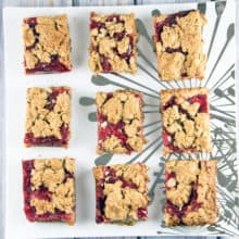 Strawberry Rhubarb Oatmeal Bars: easier than a pie, but just as delicious! {Bunsen Burner Bakery}