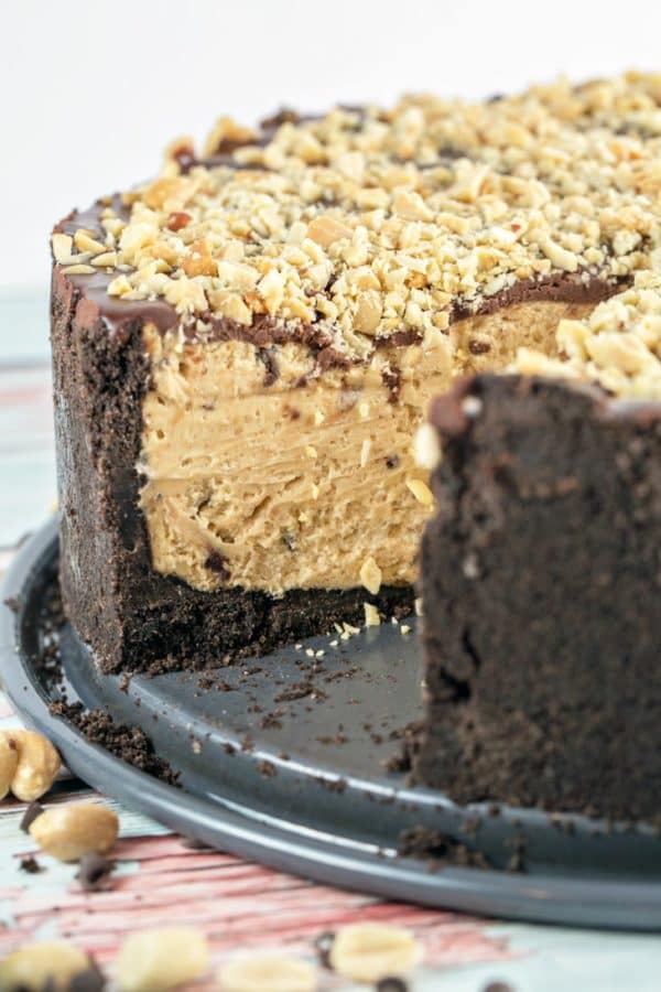 picture of the inside of a peanut butter torte, showing the thick oreo crust, smooth peanut butter filling, and crunchy chocolate peanut top