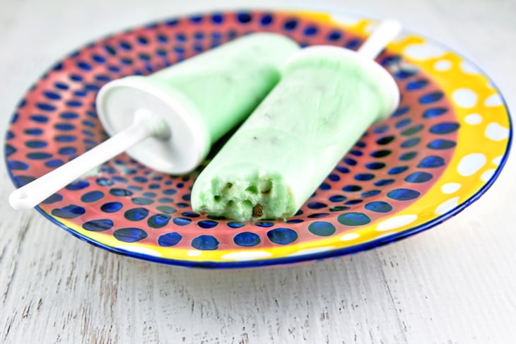 Healthy Mint Chocolate Chip Greek Yogurt Popsicles: plain Greek yogurt, nonfat milk, mint extract, and chocolate chips combine into the perfect healthy anytime snack. {Bunsen Burner Bakery}