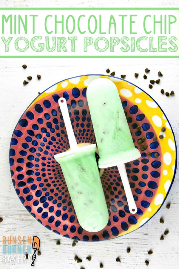 Mint Chocolate Chip Greek Yogurt Popsicles: plain Greek yogurt, nonfat milk, mint extract, and chocolate chips combine into the perfect low sugar anytime snack. #bunsenburnerbakery #popsicles #mintchocolatechip #greekyogurt