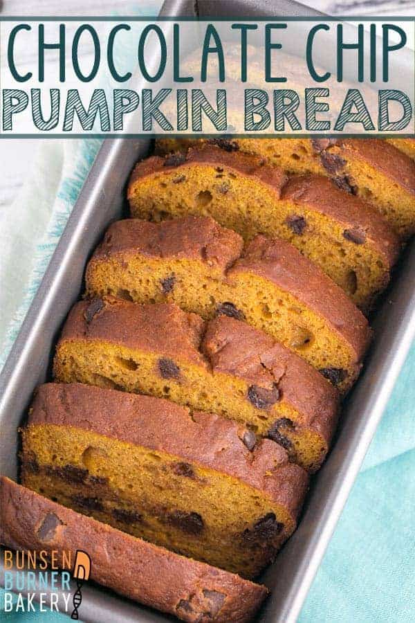 Chocolate Chip Pumpkin Bread: a fall favorite made extra moist with yogurt and perfectly spiced with cinnamon. #bunsenburnerbakery #pumpkinbread #quickbread #fallbaking