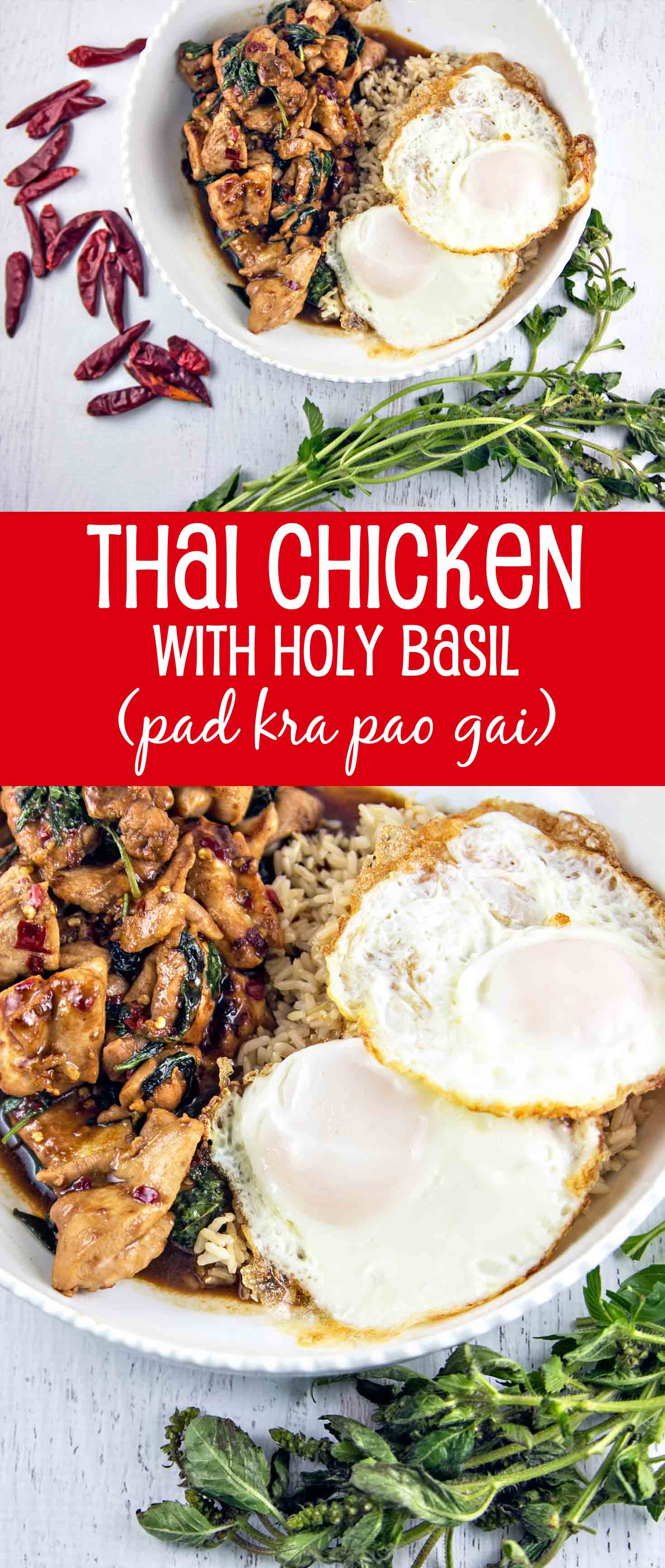 Thai Chicken with Holy Basil (pa kra pao gai): Stir fried chicken and holy basil combine quickly into a delicious sweet and spicy dish -- Thailand's most popular street food! {Bunsen Burner Bakery}