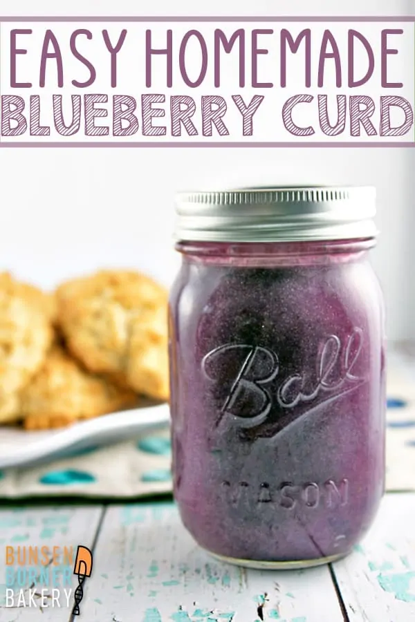 Blueberry Cardamom Curd: Learn how to make this easy blueberry curd recipe! Silky smooth curd bursting with blueberry flavor - perfect for topping muffins or scones, filling pies, or layering in cakes!