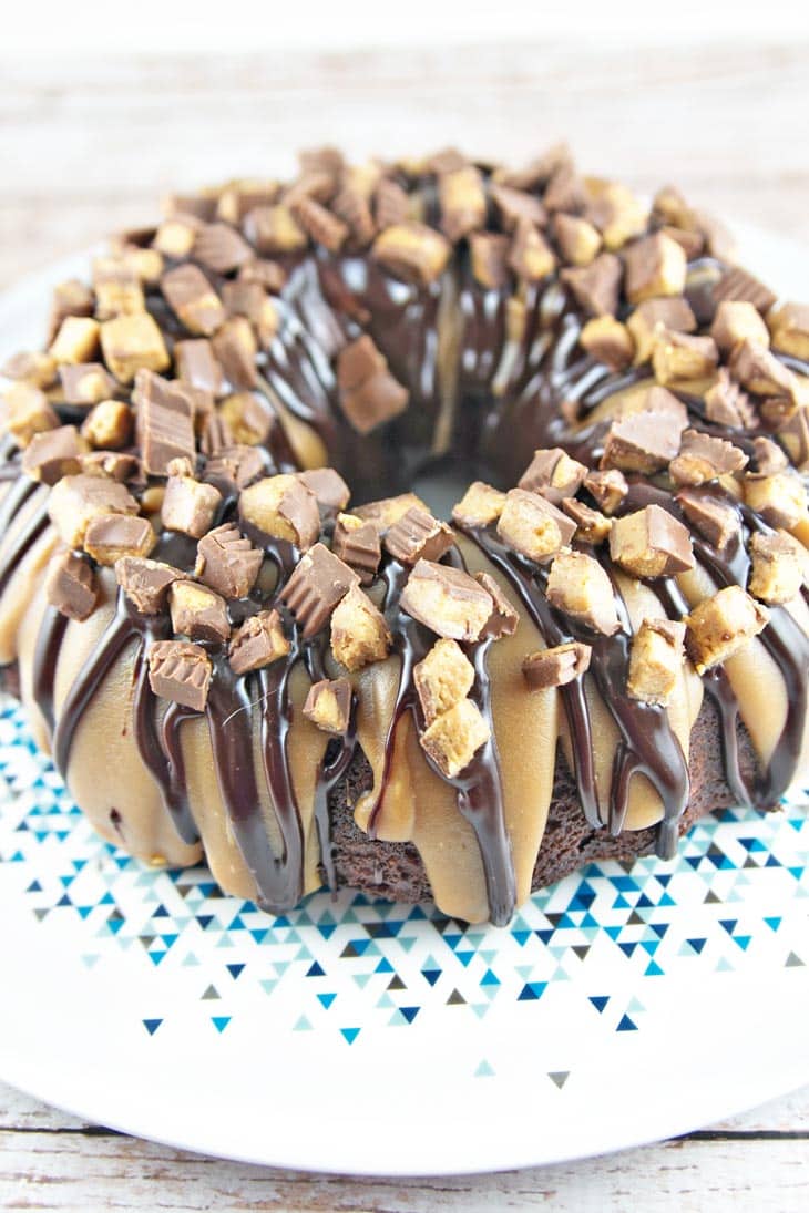 Chocolate Peanut Butter Cup Bundt Cake Bunsen Burner Bakery Chocolate Peanut Butter Cup Bundt Cake Bunsen Burner Bakery