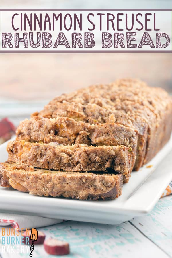 Cinnamon Streusel Rhubarb Bread: an easy one bowl quick bread jam packed with fresh rhubarb and a double dose of cinnamon streusel layered into the bread and on top.