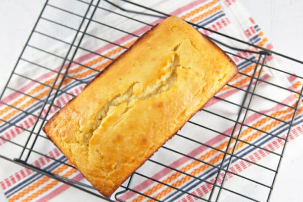 Candied Grapefruit Quick Bread: Yogurt quick bread loaded with grapefruit juice and zest, then topped with sugary grapefruit glaze and candied grapefruit. The ultimate grapefruit bread! {Bunsen Burner Bakery}