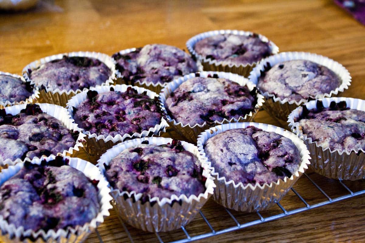 Blueberry Muffins: big bakery-style, sugar coated, traditional and delicious muffins! {Bunsen Burner Bakery}