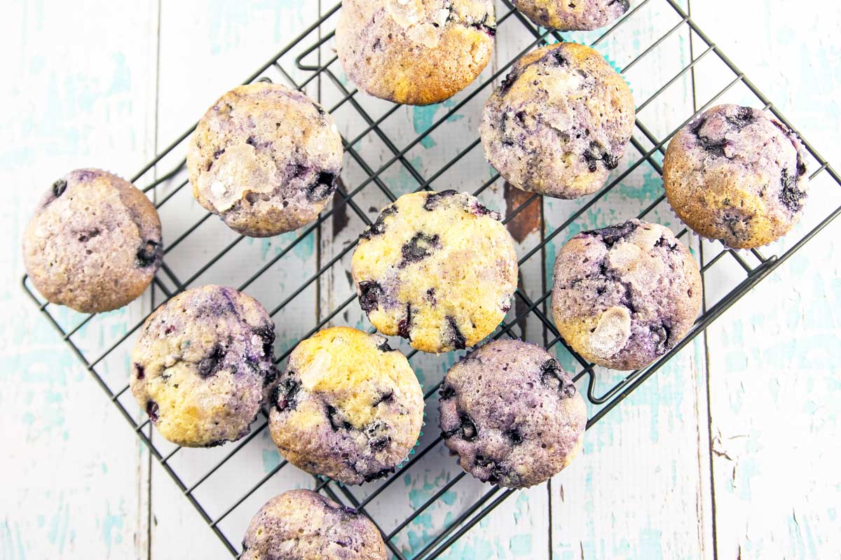 Blueberry Muffins: big bakery-style, sugar coated, traditional and delicious muffins! {Bunsen Burner Bakery}