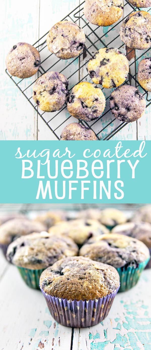 Blueberry Muffins: big bakery-style, sugar coated, traditional and delicious muffins! {Bunsen Burner Bakery}