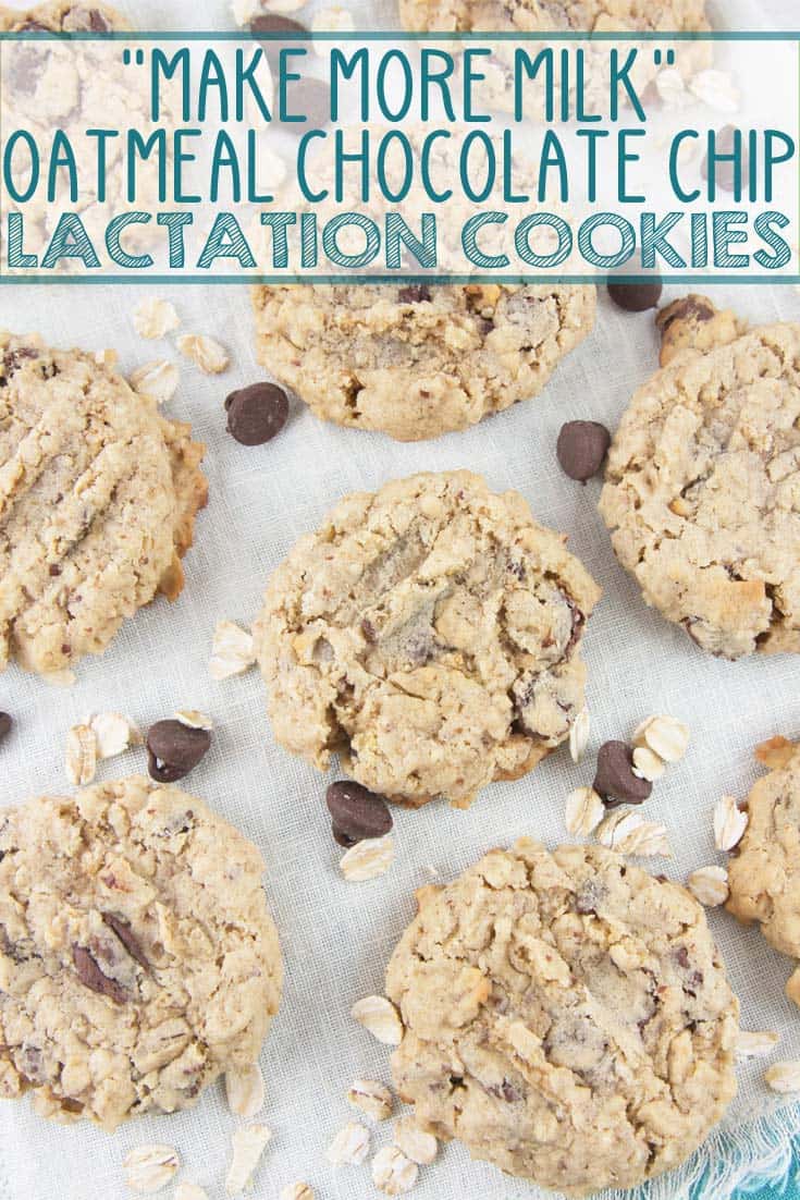 Oatmeal Chocolate Chip Lactation Cookies: bake up a batch of these delicious galactagogue-filled treats to boost milk supply for the breastfeeding moms in your life.  {Bunsen Burner Bakery} #lactationcookies #lactation #breastfeeding #galactagogues
