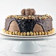 Chocolate Hazelnut Cake: two layers of rich chocolate cake, sandwiched between layers of fluffy Nutella buttercream, topped with chocolate ganache and chopped hazelnuts.  {Bunsen Burner Bakery}