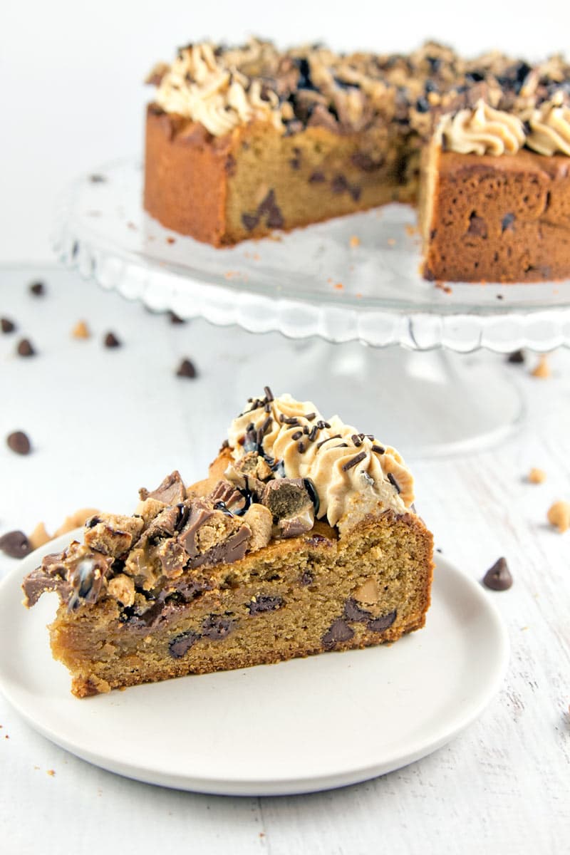 Peanut Butter Cup Cookie Cake: a peanut butter chocolate chip cookie cake, topped with whipped peanut butter ganache, chopped peanut butter cups, and chocolate and peanut butter sauces.  {Bunsen Burner Bakery}