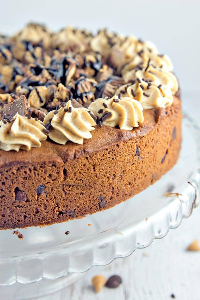 Peanut Butter Cup Cookie Cake: a peanut butter chocolate chip cookie cake, topped with whipped peanut butter ganache, chopped peanut butter cups, and chocolate and peanut butter sauces.  {Bunsen Burner Bakery}