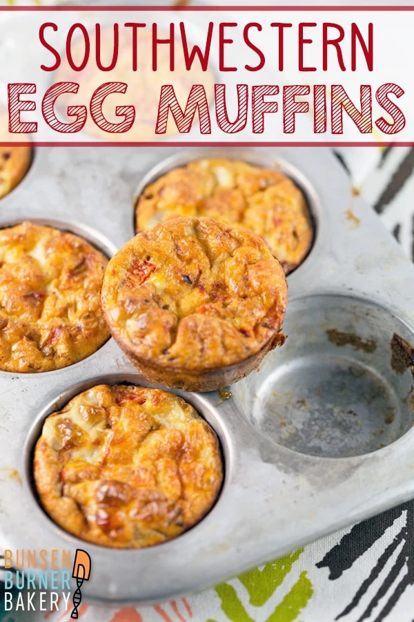 Southwestern Egg Muffins: full of black beans and peppers, these make-ahead baked egg muffins are the perfect low carb, high protein breakfast, lunch, or snack.