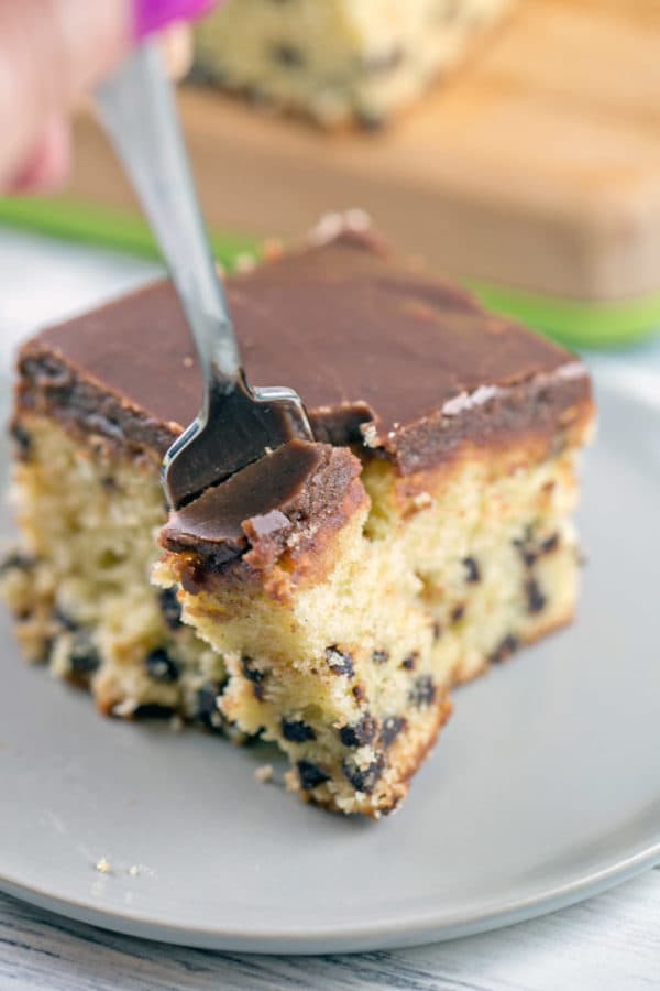 Chocolate Chip Pound Cake: an easy sheet cake, perfect for carving or serving as a party cake with a layer of homemade hot fudge frosting! Make ahead and freeze! {Bunsen Burner Bakery}