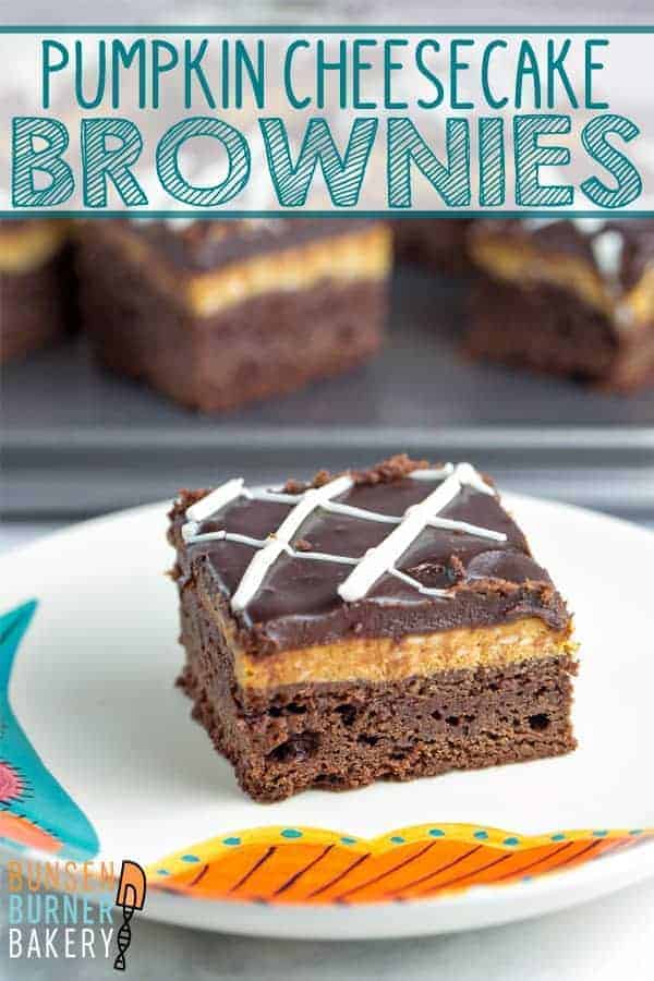 Pumpkin Cheesecake Brownies: Easy homemade brownies topped with smooth and creamy pumpkin cheesecake. The perfect fall dessert! #bunsenburmerbakery #brownies #cheesecake #pumpkinbrownies