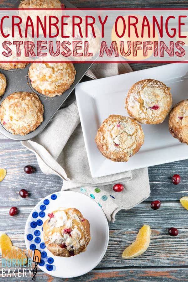 Cranberry Orange Streusel Muffins: tart cranberries (fresh or frozen!) and oranges pair perfectly with a sweet crumbly streusel topping for these easy domed muffins.  All the tips you need for moist bakery style muffins at home!