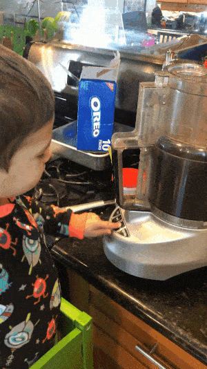 toddler boy grinding oreo cookies in a food processor