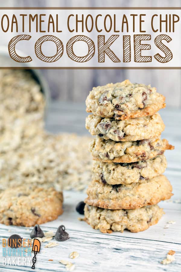 Oatmeal Chocolate Chip Cookies: The BEST thick and chewy oatmeal chocolate chip cookie recipe!  Soft centers with a barely crispy exterior.  These easy (no refrigeration!) cookies are stuffed full of oatmeal and chocolate chunks - the perfect everyday cookie.