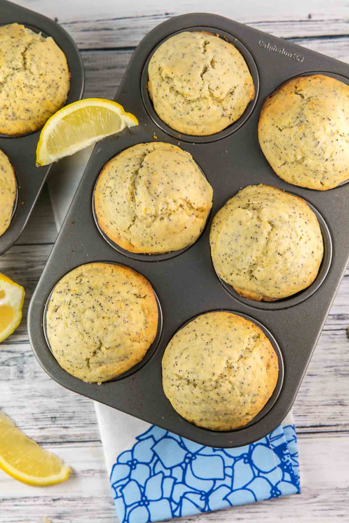 freshly baked lemon poppy seed muffins in the muffin tin.