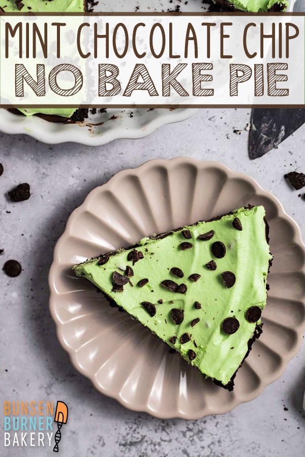No Bake Mint Chocolate Chip Pie: homemade mint custard on top of a thick layer of chocolate ganache and an oreo crust. This dinner-style cream pie is a mint lovers delight!