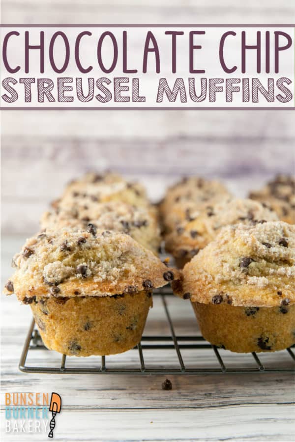 Chocolate Chip Streusel Muffins: filled with chocolate chips and covered with a crunchy, chocolatey streusel topping, this easy recipe is the BEST!  Plus all the tips for baking perfect jumbo-sized bakery style muffins at home!