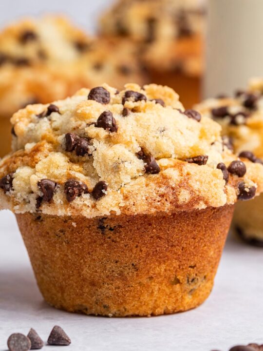 https://www.bunsenburnerbakery.com/wp-content/uploads/2018/04/chocolate-chip-streusel-muffins-square-27-540x720.jpg