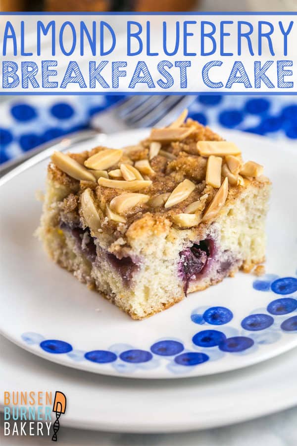 Blueberry Almond Breakfast Cake: the best easy and moist buttermilk blueberry cake with an almond streusel toping, perfect for breakfast or as as a not-so-sweet simple dessert. 