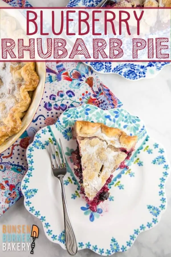 Blueberry Rhubarb Pie: Move over strawberry - there's a new perfect pairing for rhubarb. With a homemade filling made from juicy blueberries and fresh or frozen rhubarb, this easy bluebarb pie is the perfect summer dessert!