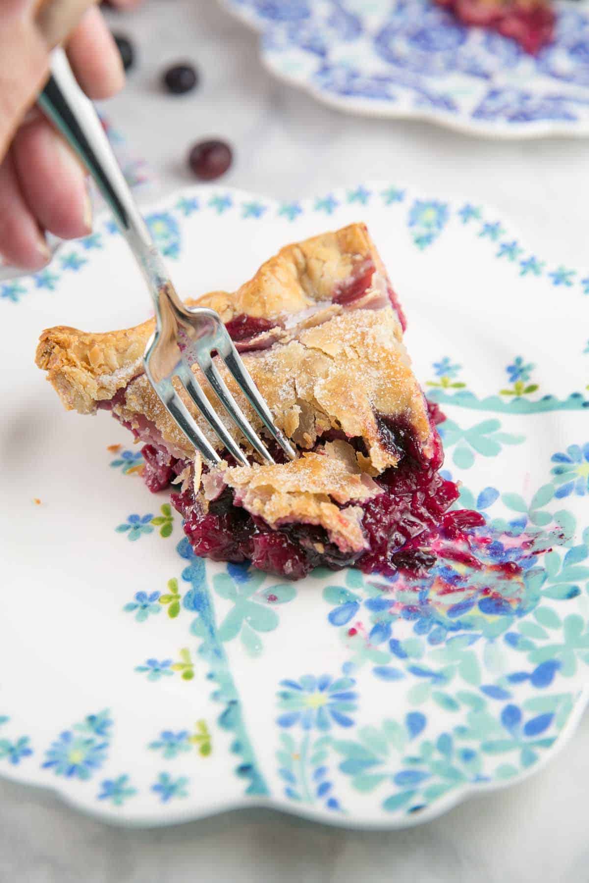 digging into a slice of blueberry rhubarb pie with a fork