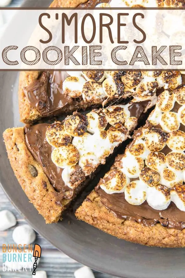 S'mores Cookie Cake: delicious s'mores flavor, made in the oven! A giant graham cracker chocolate chip cookie cake, covered with a layer of melted milk chocolate and toasted s'mores. The perfect summer dessert!